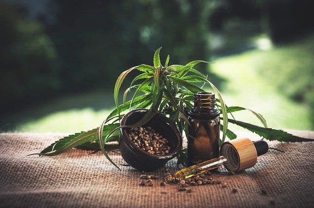 Vom Nischenprodukt zum Mainstream: CBD-Produkte erobern den Handel