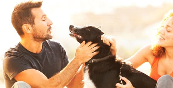 Kuscheln für die Seele und die Partnerschaft - Hundefreunde leben Gesünder