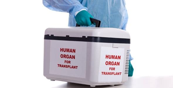 Erbschaft Organ - Spender wider Willen?
