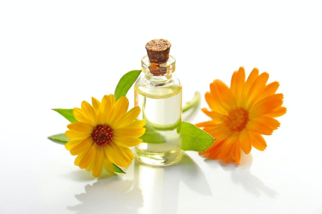 Parfum und Düfte - positive Auswirkung auf Gedächtnisleistung