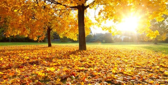 Kampf gegen den Herbstblues: Ärzte warnen vor Erkältungen