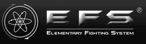 EFS Elementary Fighting System