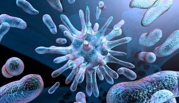 Das RS-Virus tritt immer häufiger auf!