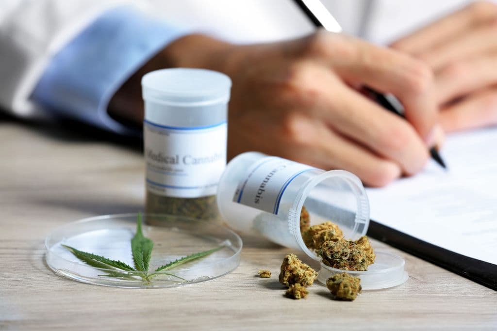 Die Legalisierung von Cannabis in Deutschland: Ein Überblick